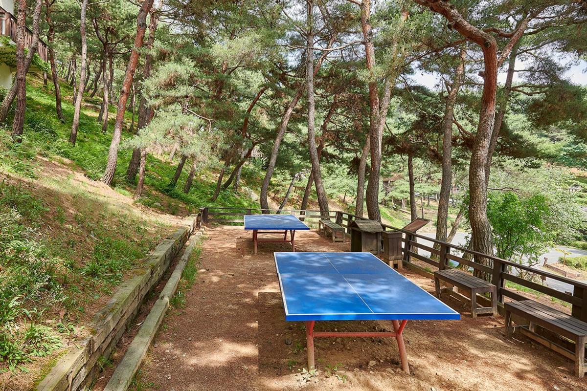 Club Es Jecheon Resort Chech'ŏn 外观 照片